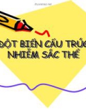 Bài giảng Đột biến cấu trúc nhiễm sắc thể