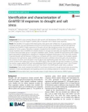 Identification and characterization of GmMYB118 responses to drought and salt stress