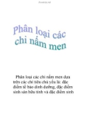 Phân loại các chi nấm men