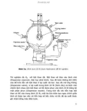 CHÁY NỔ DO CÁC HẠT BỤI - Phần 1.2