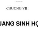 LÝ SINH ĐẠI CƯƠNG - CHƯƠNG VII QUANG SINH HỌC