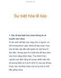 Sự biệt hóa tế bào