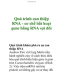 Quá trình can thiệp RNA - cơ chế bất hoạt gene bằng RNA sợi đôi