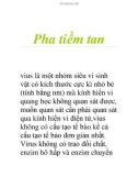 Pha tiềm tan