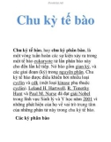 Chu kỳ tế bào