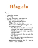 Tổng quan: Hồng cầu