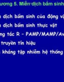 Miến dịch học thực vật chương 5