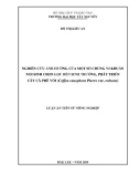 Luận án Tiến sĩ Nông nghiệp: Nghiên cứu ảnh hưởng của một số chủng vi khuẩn nội sinh chọn lọc đến sinh trưởng, phát triển cây cà phê vối (Coffea canephora Pierre var. robusta)