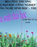 Các khu sinh thái học