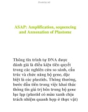 ASAP: Amplification, sequencing and Annonation of Plastome