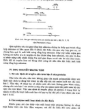 Advanced Biology - Lý Thuyết Di Truyền, Di Truyền Phân Tử Phần 4