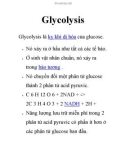 Glycolysis