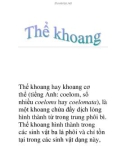 Thể khoang