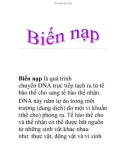 Biến nạp