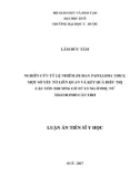 Luận án Tiến sĩ Y học: Nghiên cứu tỷ lệ nhiễm Human Papillomavirus, một số yếu tố liên quan và kết quả điều trị các tổn thương cổ tử cung ở phụ nữ thành phố Cần Thơ