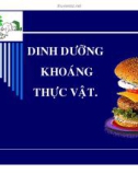 Bài giảng Dinh dưỡng khoáng thực vật