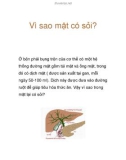 Vì sao mật có sỏi?