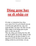 Dòng gene hay sự di nhập cư Di-nhập cư (migration) hay dòng gene (gene flow) là sự di