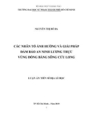 Luận án tiến sĩ Địa lý: Các nhân tố ảnh hưởng và giải pháp đảm bảo An ninh lương thực vùng Đồng bằng sông Cửu Long