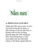 Nấm men