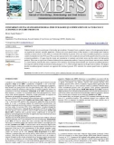 Comparison of DNA standards for real-time-pcr based quantification of lactobacillus acidophilus in dairy products