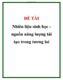 Đề tài: Nhiên liệu sinh học nguồn năng lượng tái tạo trong tương lai