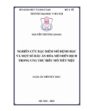 Luận án Tiến sĩ Y học: Nghiên cứu đặc điểm mô bệnh học và một số dấu ấn hóa mô miễn dịch trong ung thư biểu mô tiết niệu