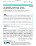 Salt-inducible expression of OsJAZ8 improves resilience against salt-stress