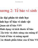 Bài giảng Vi sinh vật học: Chương 2 - PGS. TS. Nguyễn Đức Hoàng