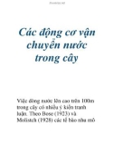 Các động cơ vận chuyển nước trong cây