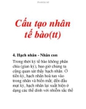 Cấu tạo nhân tế bào(tt)