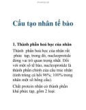 Cấu tạo nhân tế bào