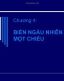 Chương 4: BIẾN NGẪU NHIÊN MỘT CHIỀU