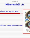 Bài giảng về ADN Và Bản chất của Gen