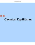 Chapter 6: Chemical Equilibrium