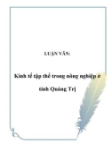 LUẬN VĂN: Kinh tế tập thể trong nông nghiệp ở tỉnh Quảng Trị