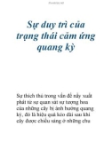 Tài liệu: Sự duy trì của trạng thái cảm ứng quang kỳ