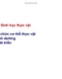 Bài giảng Sinh học thực vật