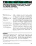 Báo cáo khoa học: Identiﬁcation and characterization of important residues in the catalytic mechanism of CMP-Neu5Ac synthetase from Neisseria meningitidis