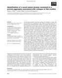 Báo cáo khoa học: Identiﬁcation of a novel matrix protein contained in a protein aggregate associated with collagen in ﬁsh otoliths