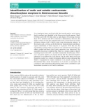 Báo cáo khoa học: Identiﬁcation of malic and soluble oxaloacetate decarboxylase enzymes in Enterococcus faecalis