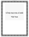 Lễ hội chọi trâu cổ nhất Việt Nam