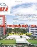 Bài thyết trình: giới thiệu một số văn hóa ở Việt Nam