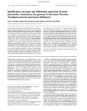 Báo cáo khoa học: Identiﬁcation, structure and differential expression of novel pleurocidins clustered on the genome of the winter ﬂounder, Pseudopleuronectes americanus (Walbaum)