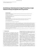 Báo cáo hóa học: Evolutionary Techniques for Image Processing a Large Dataset of Early Drosophila Gene Expression