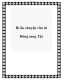 Bí ẩn chuyện rắn từ Đông sang Tây