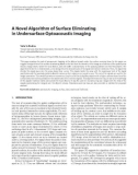 Báo cáo hóa học: A Novel Algorithm of Surface Eliminating in Undersurface Optoacoustic Imaging