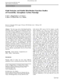 Báo cáo hóa học: Field Emission and Radial Distribution Function Studies of Fractal-like Amorphous Carbon Nanotips