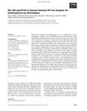 Báo cáo khoa học: K4, K9 and K18 in human histone H3 are targets for biotinylation by biotinidase