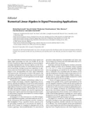 Báo cáo hóa học: Editorial Numerical Linear Algebra in Signal Processing Applications